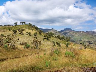 20210210182152-Mount Elgon National Park landscape.jpg